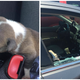 Photo: Pensacola Police Department/Facebook